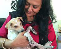 MEENAKSHI CHIRAWAWALA